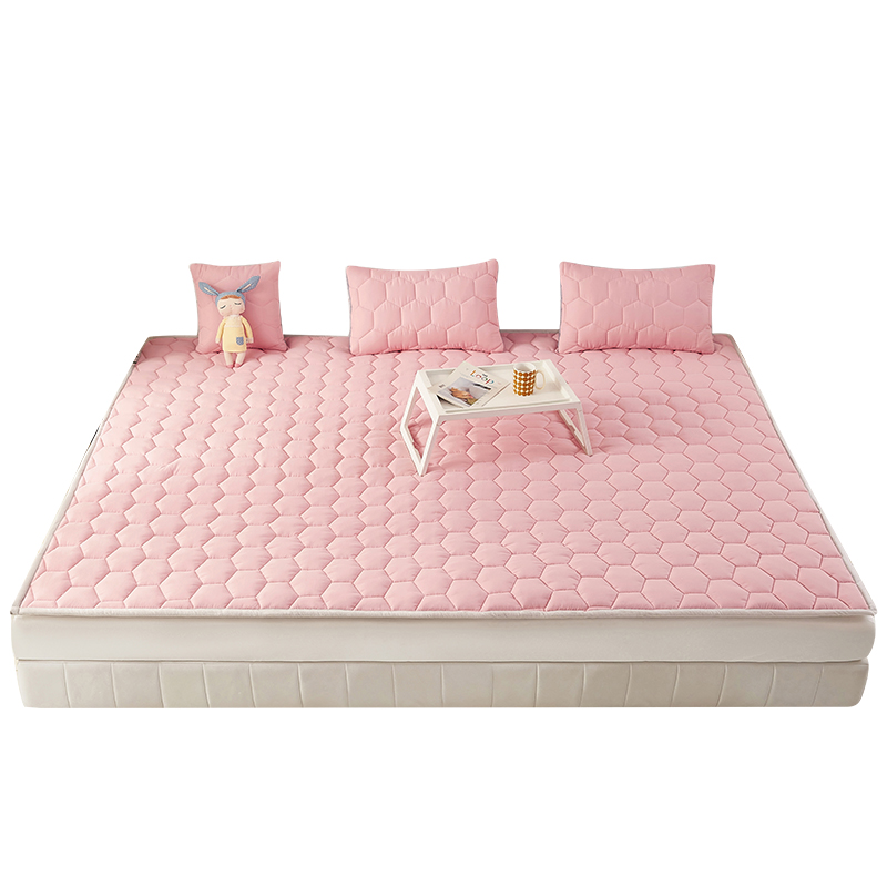 新款榻榻米床垫床护垫炕垫子床褥子四季通用大炕盖垫毯防滑可定制
