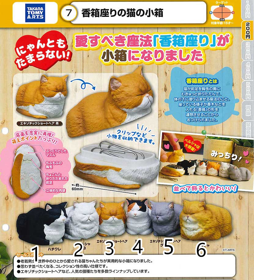 tomy猫-新人首单立减十元-2021年8月淘宝海外