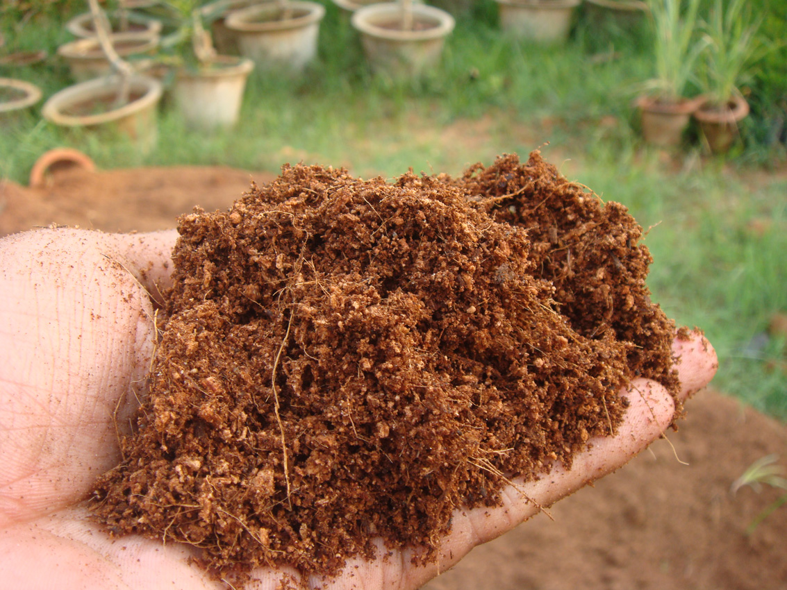 植语无盐大椰砖椰土椰糠包邮椰壳砖营养土种菜种植土爬虫垫材 - 图1