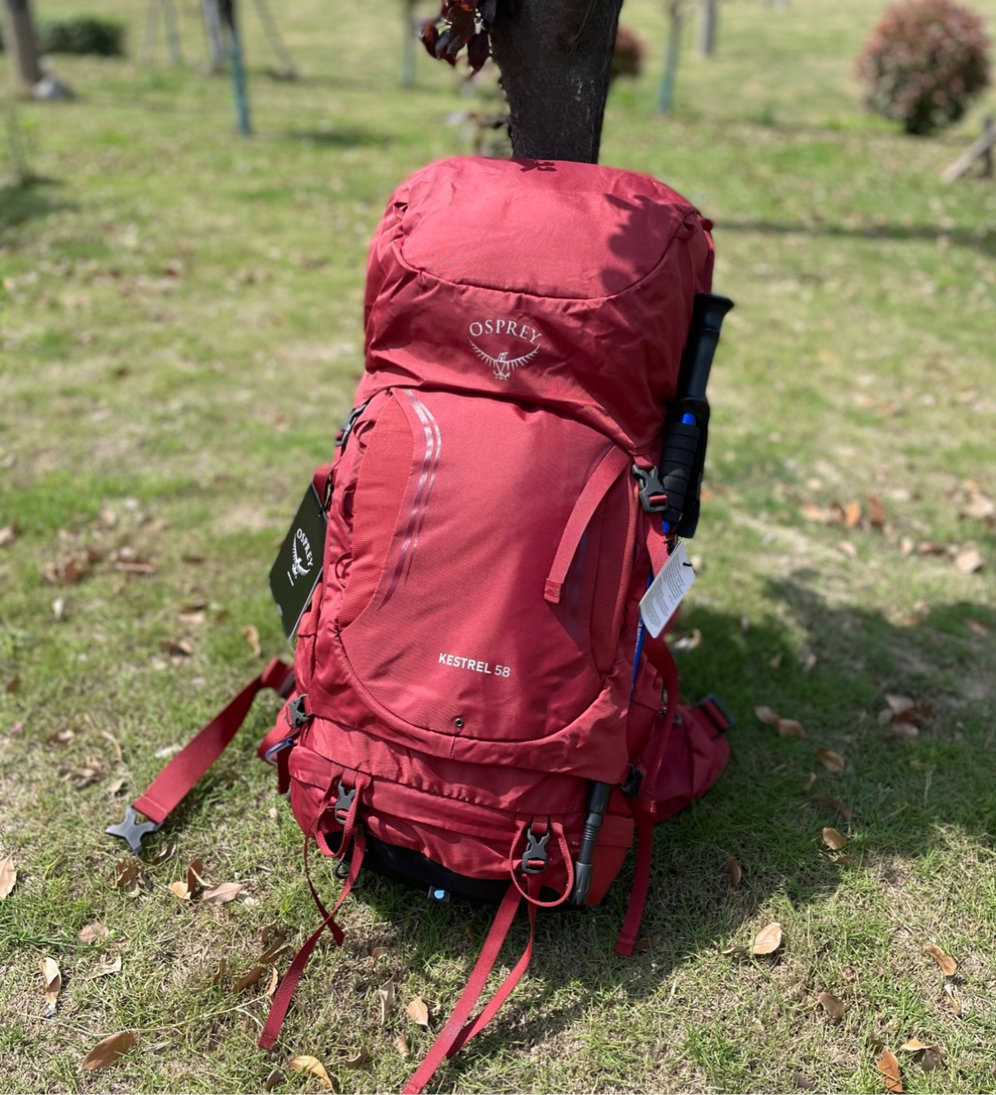 Osprey Kestrel户外小鹰58升徒步登山双肩背包男女防水36L38L48L - 图0