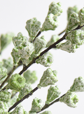 单支尤加利果仿真植物样板房客厅办公桌茶几装饰拍摄道具摆件假花