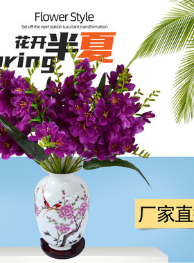 客厅盆栽香雪兰家居客厅装饰花