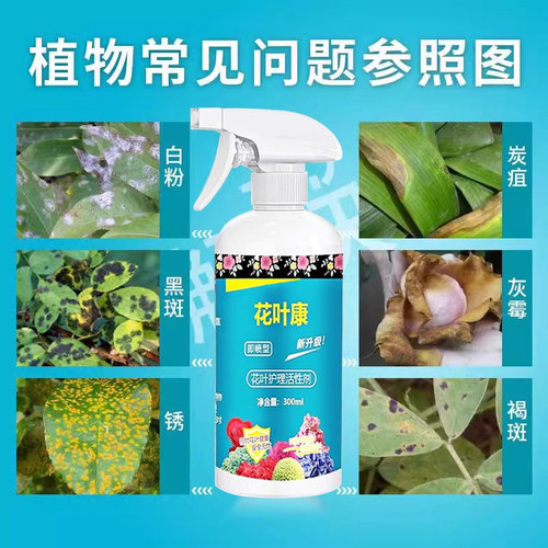 花叶康杀菌剂喷雾三角梅月季兰花多肉花卉通用型炭疽白粉灰霉黑斑 - 图2