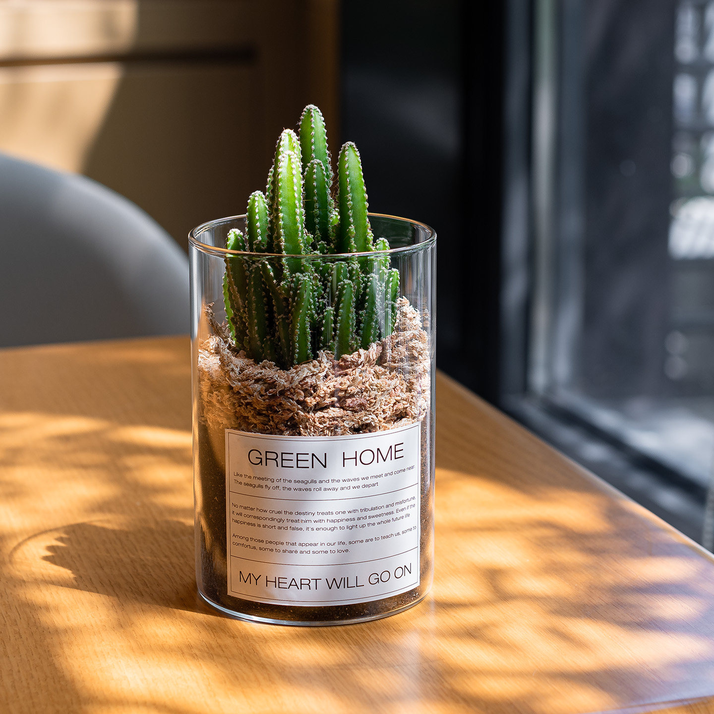 Mofacoco仙人掌万重山多肉绿植物桌面办公室内仙人球阳台耐旱好养,淘宝优惠券,粉丝福利购,淘宝优惠卷