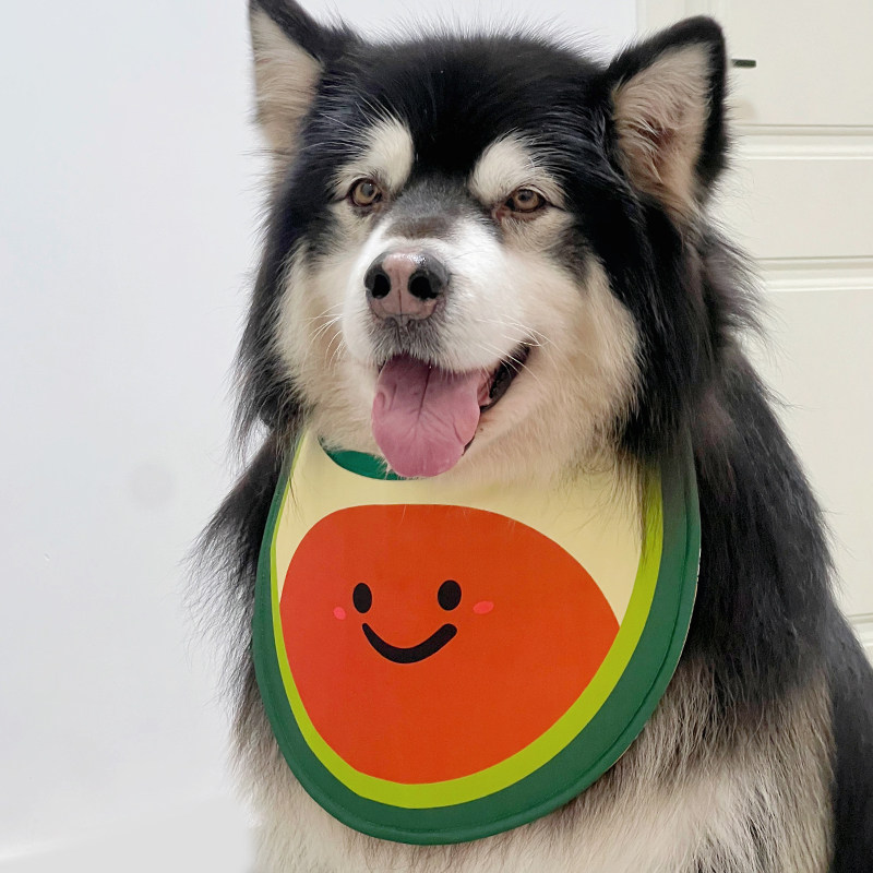 狗狗口水巾 夏季车载可自立接口水围兜 阿拉斯加金毛萨摩中大型犬,淘宝优惠券,粉丝福利购,淘宝优惠卷