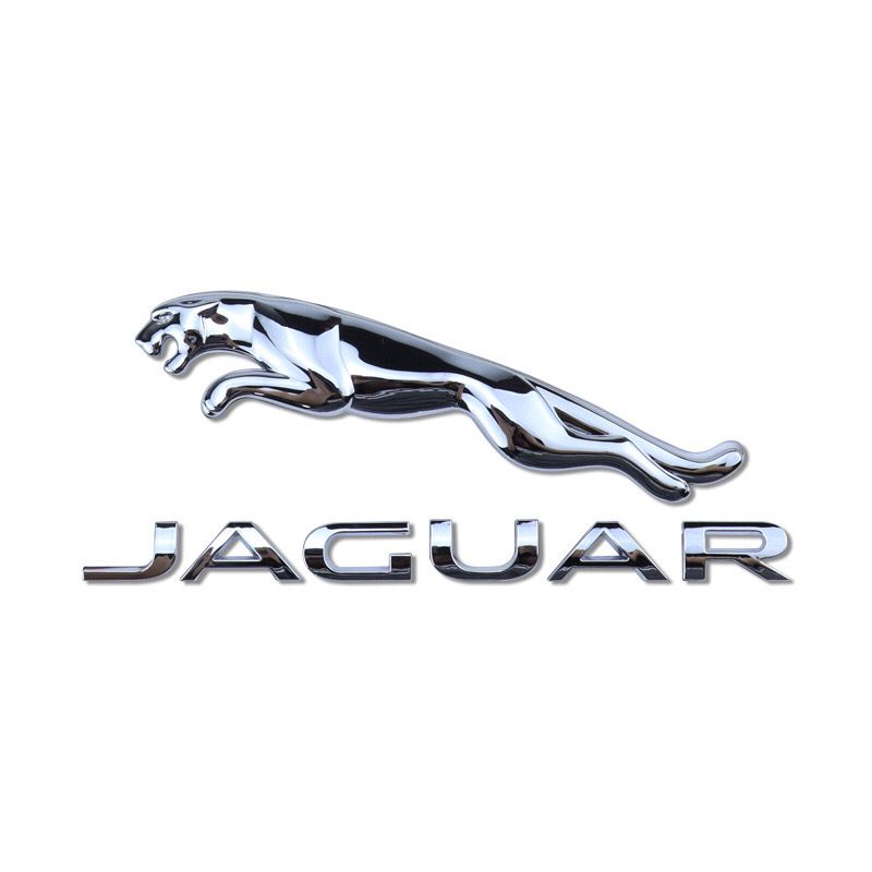 适用捷豹后车标JAGUAR车贴XJL XFL XE FPACE FTYPE改装后尾箱车标 - 图3