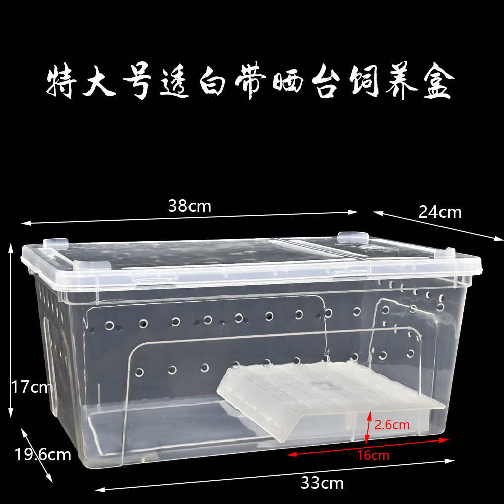 爬虫饲养盒角蛙蝾螈守宫爬宠箱蜗牛寄居蟹饲养箱带盖乌龟缸人渣盒 - 图2