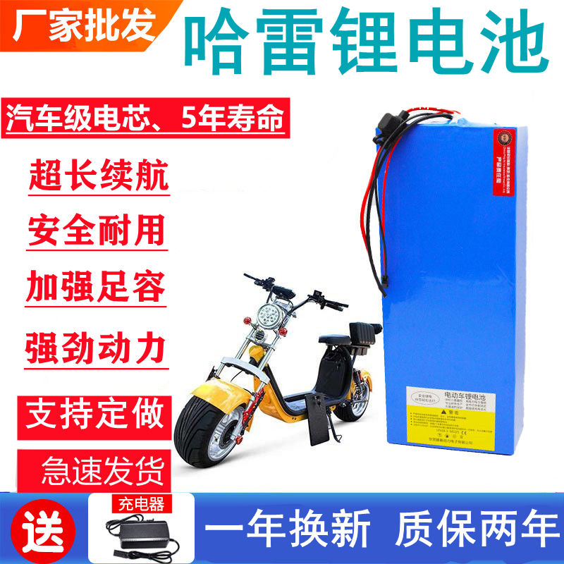 哈雷电动车锂电池60v12a20Ah48v72v64沃趣启牛车可拆卸大容量通用