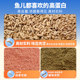 Fishing King Insect Protein Fishing Bait Universal for All Seasons