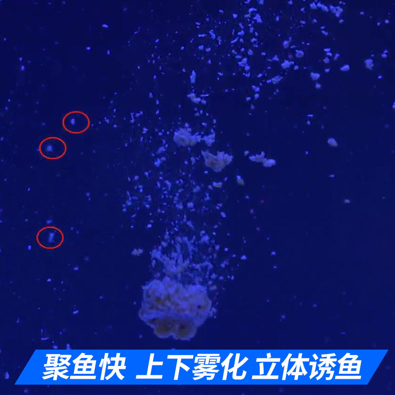 钓鱼王鱼饵饵料配方打窝料人工合成麝香底窝鲫鱼鲤钓饵野钓鱼饵,淘宝优惠券,粉丝福利购,淘宝优惠卷