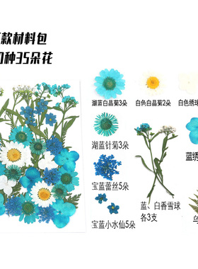 脸部装饰diy干花多款儿童植物
