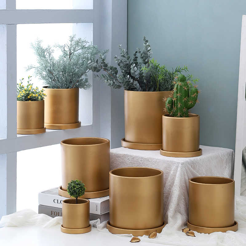 金色花盆北欧 新人首单立减十元 22年2月 淘宝海外 金色花盆北欧 新人首单立减十元 22年2月 淘宝海外