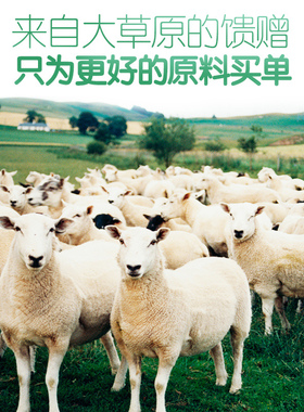 支装番茄派山护手霜滋润