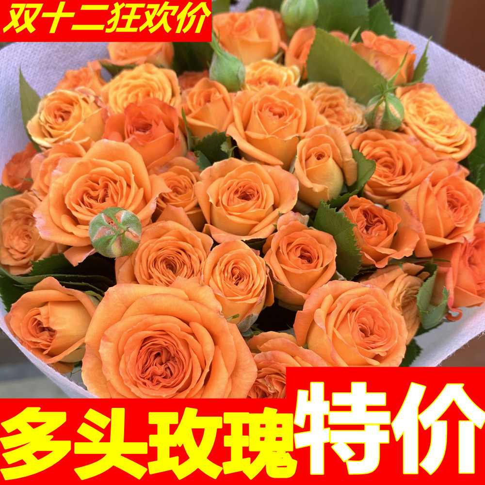 多头泡泡玫瑰花云南昆明基地鲜花速递同城百合花束爱丽丝情人节