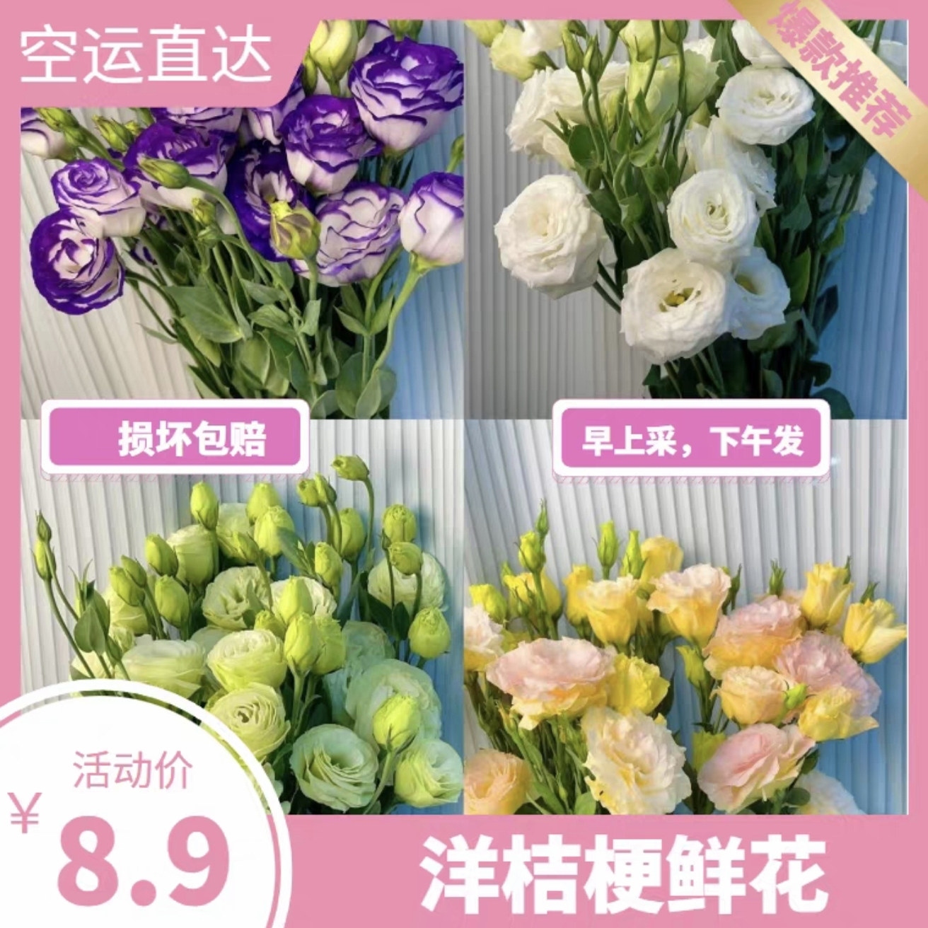 绿色洋桔梗水养鲜花云南昆明基地直发同城速递百合玫瑰泡泡元旦节,淘宝优惠券,粉丝福利购,淘宝优惠卷