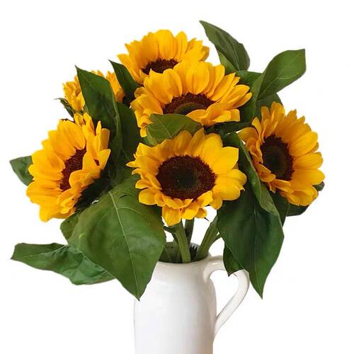 向日葵太阳花云南昆明鲜花基地直发百合花直批花束教师节同城速递 - 图3