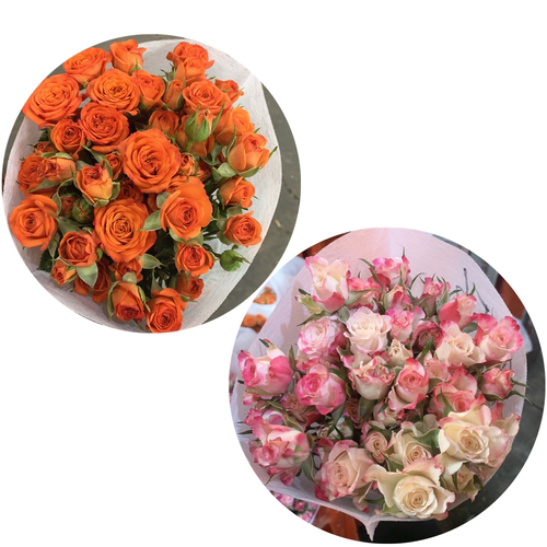 爱丽丝比多头泡泡玫瑰花云南昆明基地鲜花速递同城百合花束母亲节 - 图1