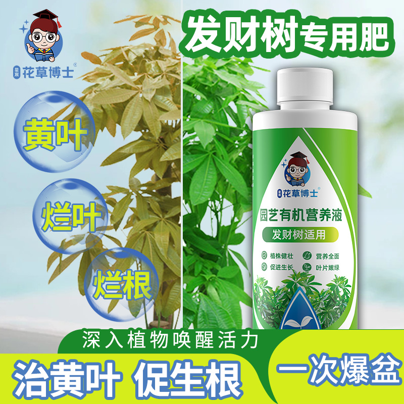 花草博士发财树专用营养液家用养花卉绿植水培通用型液体植物肥料 - 图0