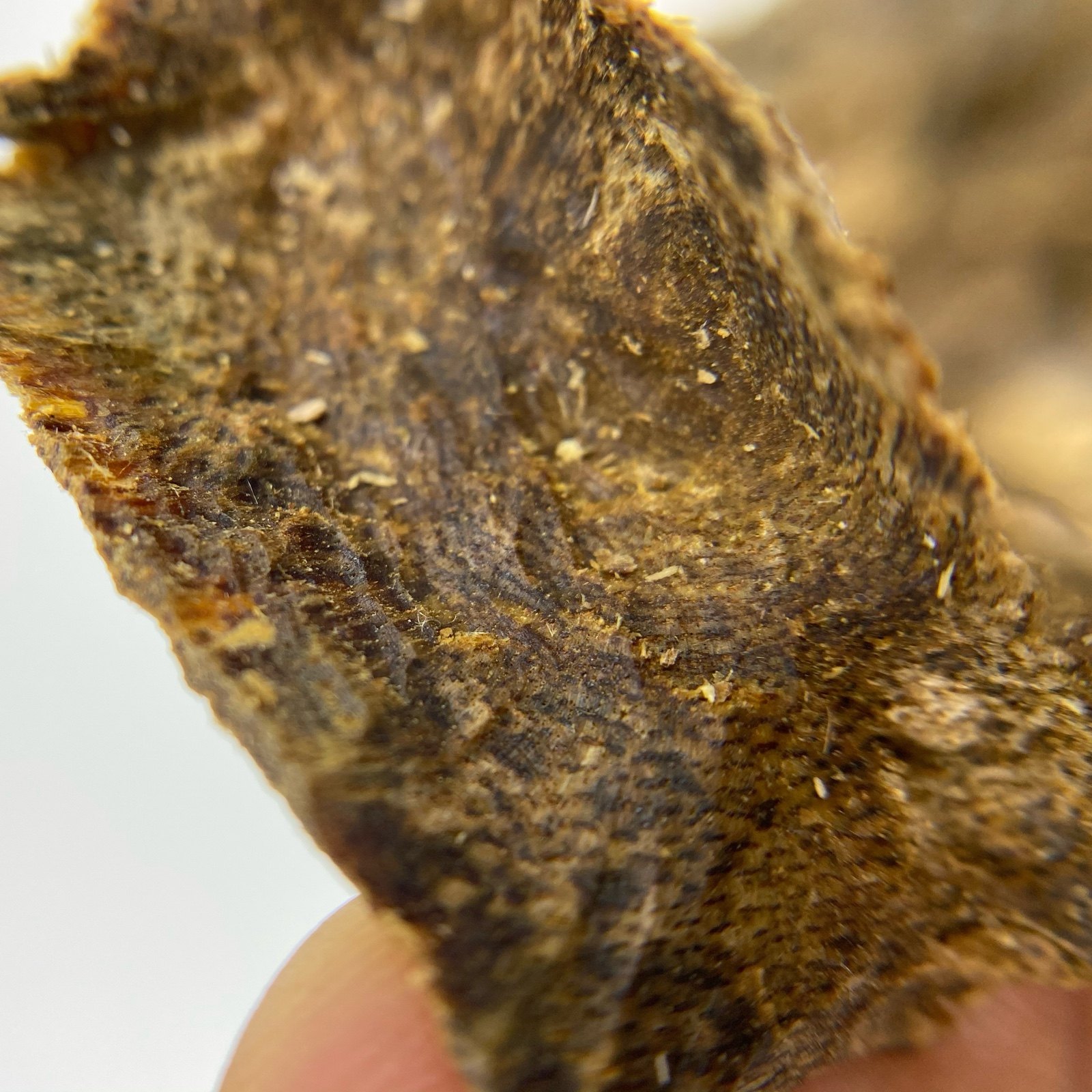 【棋楠九分沉水奇楠】绿奇楠软丝料 高油棋韵凉香 全部干净透顶油,淘宝优惠券,粉丝福利购,淘宝优惠卷