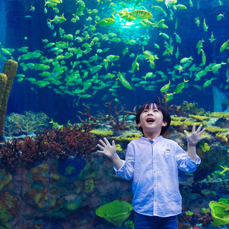 海南三亚亚特兰蒂斯水世界水上乐园失落空间水族馆童趣一日游旅游 - 图1