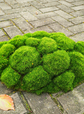 仿真苔藓块小山丘草皮草坪地毯假草青苔人工草地造景厨窗布置垫子