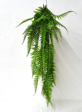 仿生绿植室内造景仿真植物蕨类植物壁挂垂吊垂挂藤条藤蔓塑料吊花