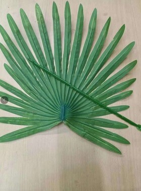 仿真扇葵叶蒲扇叶装饰塑料棕榈树叶舞蹈跳舞道具葵树假花绿植叶