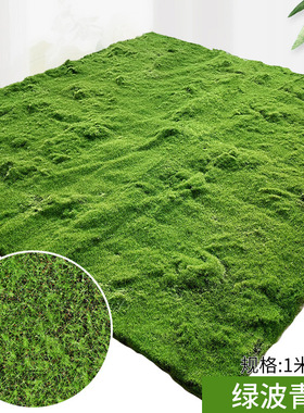 人造苔藓草坪假青苔草皮苔癣墙面绿化墙上仿生造景装饰仿真苔藓球