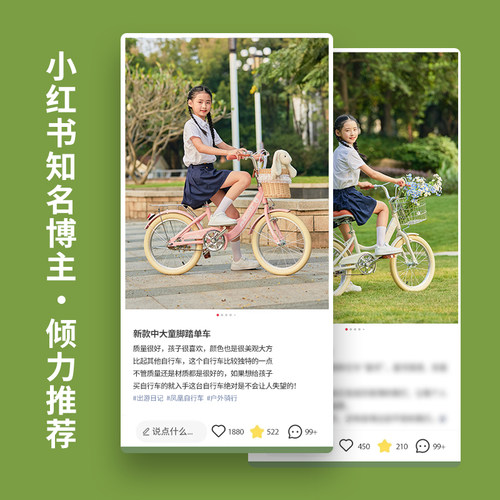 凤凰儿童自行车青少年女孩6-8一12岁15中大童小学生脚踏公主单车 - 图1