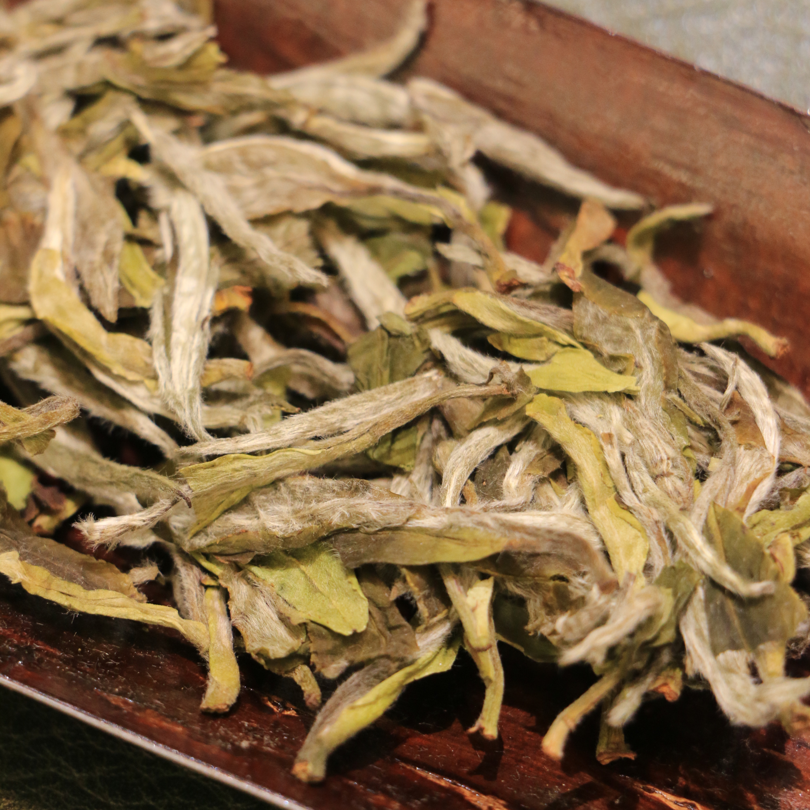 福鼎白茶【桃花】2025年老枞荒野白牡丹饼正宗磻溪高山茶叶300克 - 图1