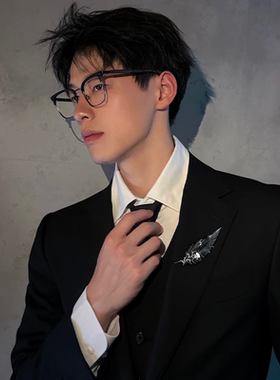 白雾与乌云小众羽毛胸针