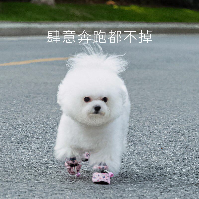 狗狗鞋子软底甩不掉比熊脚套小猫咪中小型犬宠物防滑防脏小狗鞋子,淘宝优惠券,粉丝福利购,淘宝优惠卷