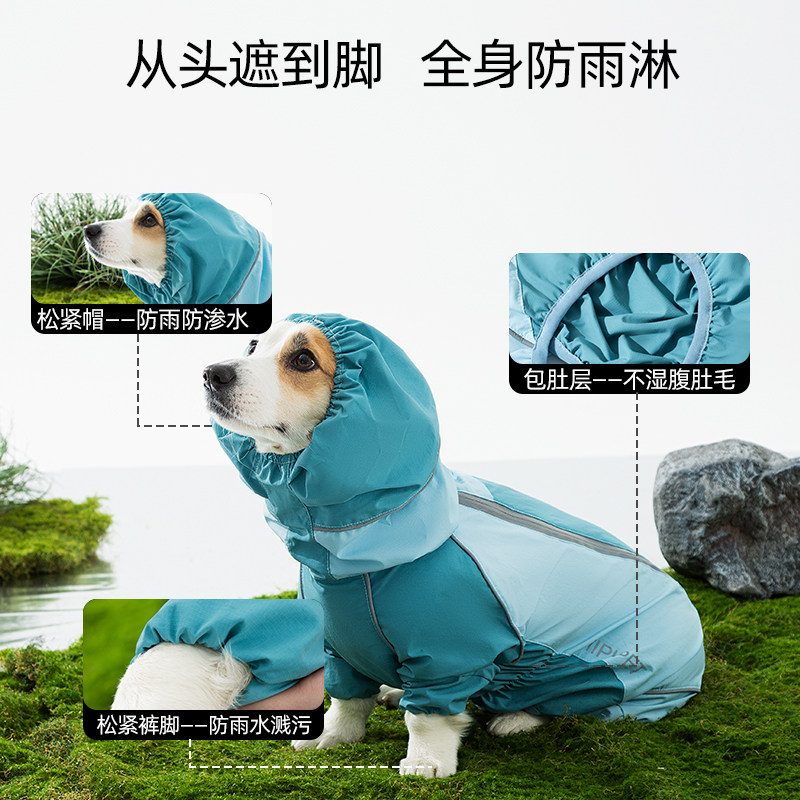 Cute Corgi’s raincoat is both beautiful and practical