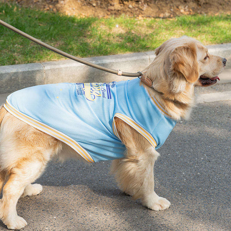 清凉酷感大狗狗衣服夏季薄款金毛柴犬边牧中型大型犬背心宠物夏天 - 图2