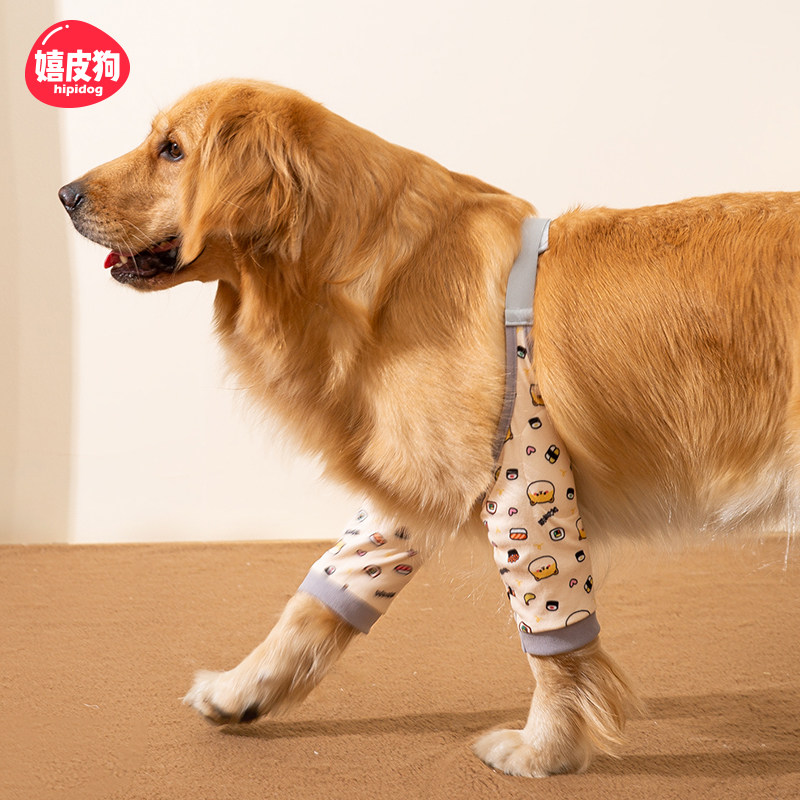 Hippie dog golden retriever big dog clothes elbow and knee pads