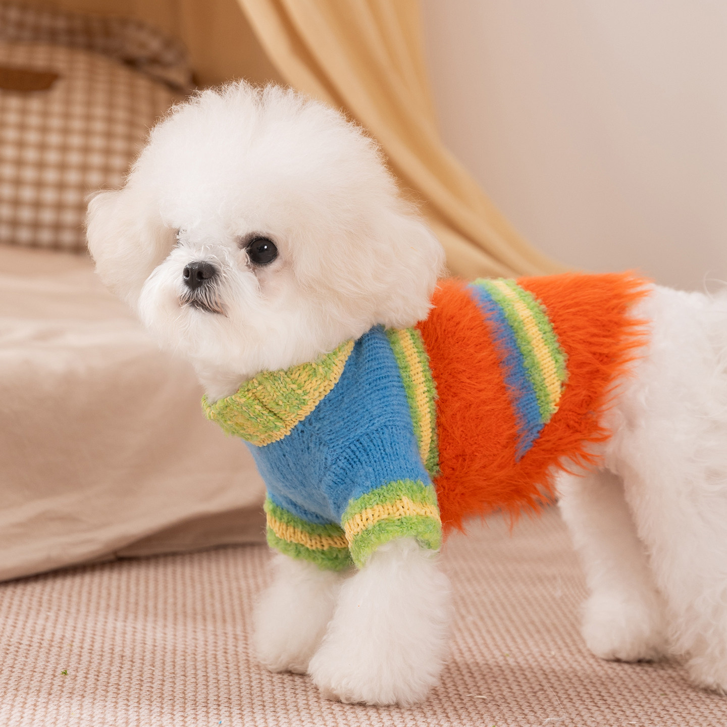 狗狗衣服2025新款秋冬装比熊泰迪雪纳瑞毛衣中小型犬宠物小狗衣服,淘宝优惠券,粉丝福利购,淘宝优惠卷