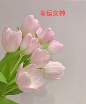 Fate Goddess Pink Tulips 10 Seasein (full of three up for shipment)
