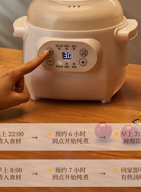 【德国品牌】全自动电炖锅燕窝炖