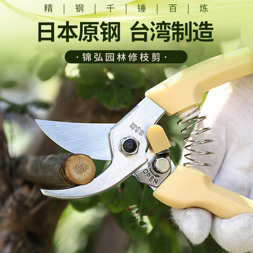 日本进口钢省力修枝剪树枝修花剪刀粗枝剪园艺工具果树剪子摘果剪 - 图0
