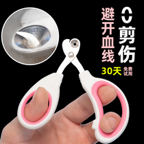 Cat Fingernail Cut Kitty Nail Clippers Nail Cat Bowls Cat Food Basin Dogs Bowls God Instrumental Nail Clippers Special Nail Clippers Supplies Big