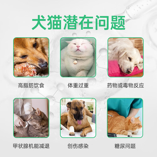 胰宝宠物胰酶肠溶胶囊狗狗胰酶猫咪胰腺药杆悦乐片营养补充助消化 - 图0