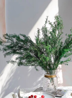 千层金永生干花花束客厅摆设天然风干高级感真花植物插花装饰摆件