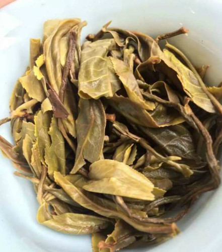 云南普洱茶生茶2010年贺开古树茶春茶云南七子饼茶357g包邮 - 图3