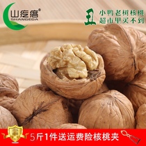 Pecorino Bulk Wild Farmhouse Pregnant Woman Eating Raw Taste Dried Fruits Nut Snack Snack Original Eco Walnut 5 Catty