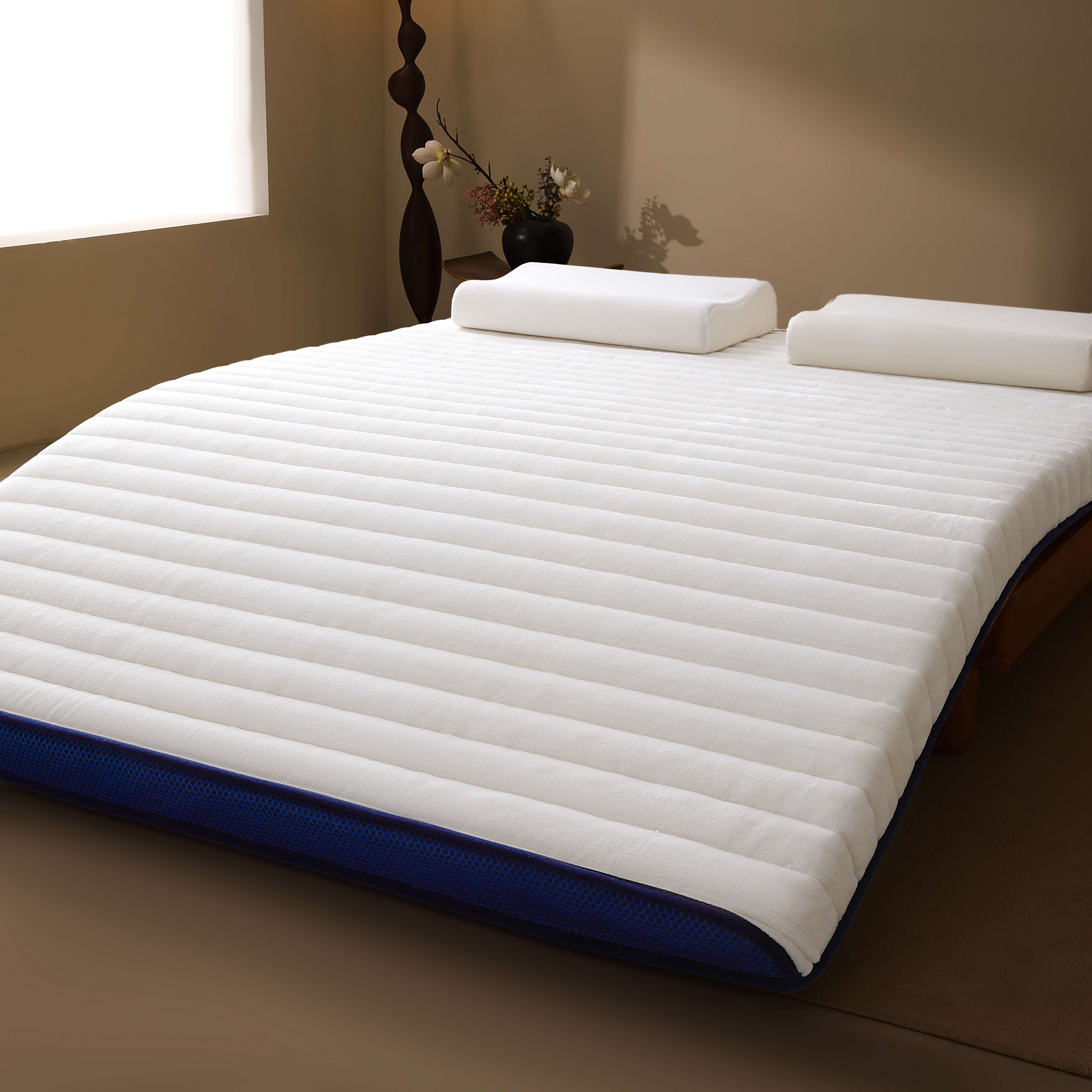 牛奶绒记忆海绵床垫软家用卧室榻榻米租房学生专用床褥垫子可折叠,淘宝优惠券,粉丝福利购,淘宝优惠卷