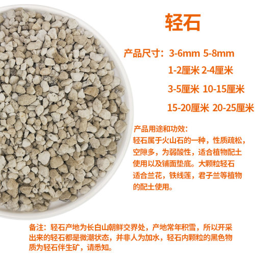 钵底石兰石兰花 轻石浮石 多肉植物盆栽垫底石兰花石土水陆缸草缸 - 图0