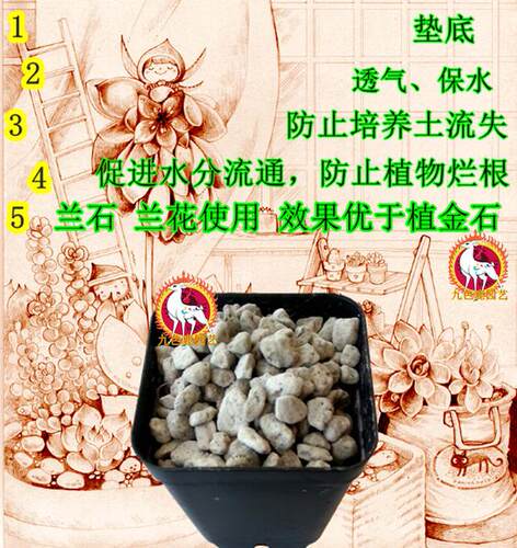 钵底石兰石兰花 轻石浮石 多肉植物盆栽垫底石兰花石土水陆缸草缸 - 图2