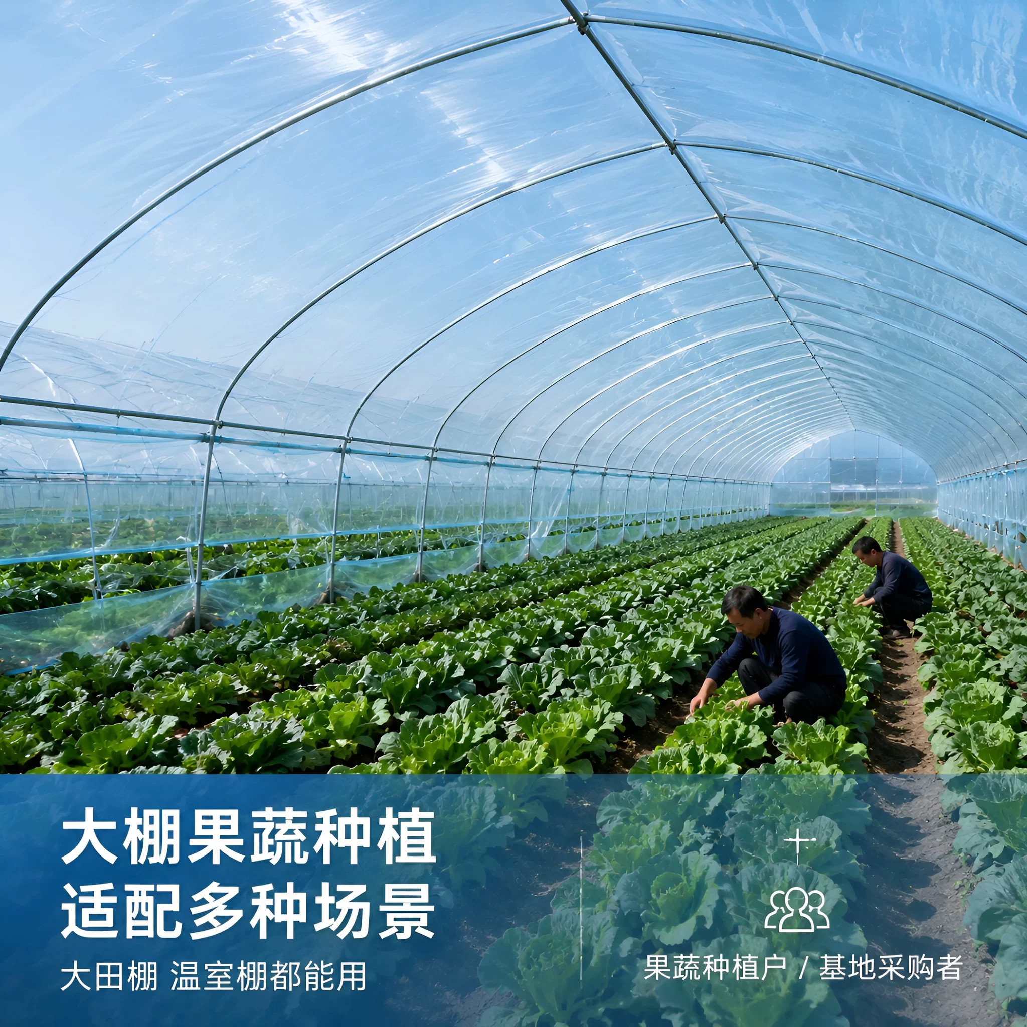 Greenhouse plastic film full roll blue drip-free film white transparent plastic cloth vegetable tape thermal insulation longevity agricultural film