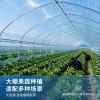 Greenhouse plastic film full roll blue drip-free film white transparent plastic cloth vegetable tape thermal insulation longevity agricultural film