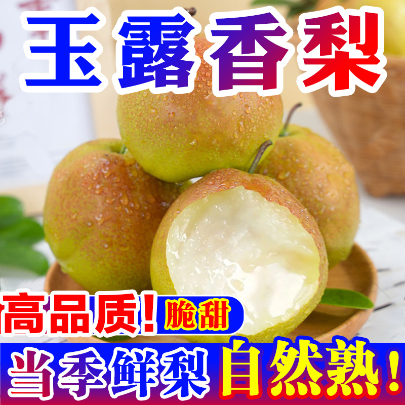 【梨中贵族】玉露香梨山西特产新鲜水果酥脆无渣皮薄脆甜多汁精品 - 图3